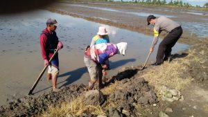 Semangat Gotong Royong, Bhabinkamtibmas dan Babinsa Menggali Saluran
