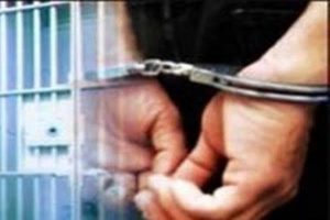 Gigitan Semut Hitam Gagalkan Aksi Pencabulan Warga Luwu