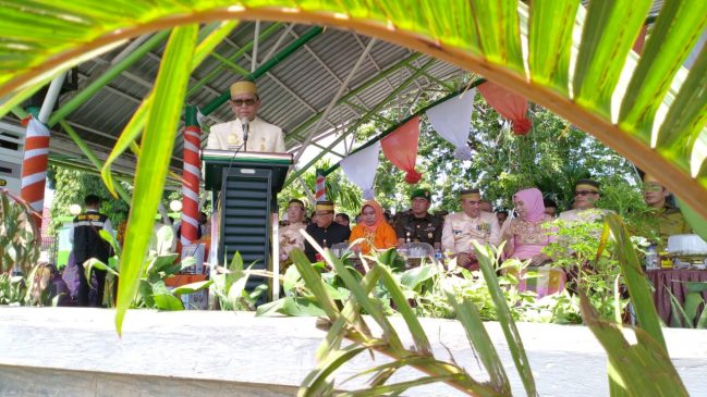 Gubernur Sulsel Harap Parepare Jadi Pusat Chek Up Kesehatan