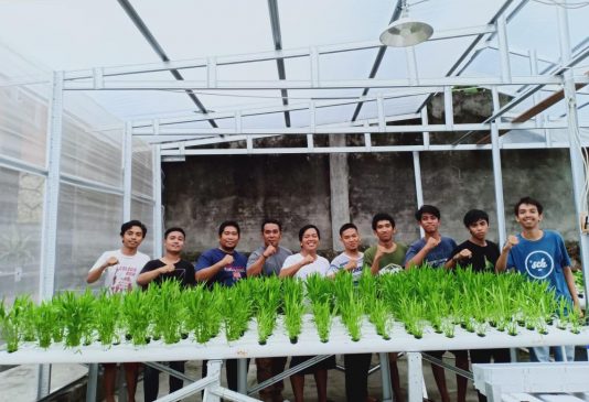 Kunjungi Kebun Hidroponik RBCD, Ketua KNPI Parepare Siap Kolaborasi Program