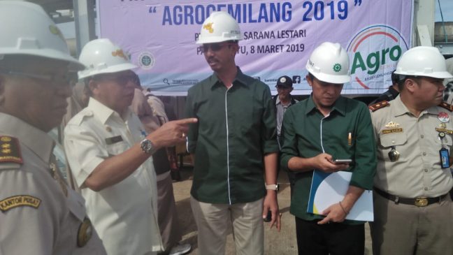 Sawit Pasangkayu di Expor ke China