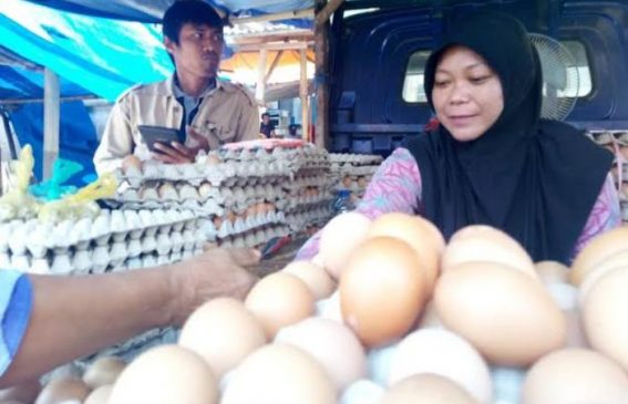 Disperindag Parepare Rilis Harga Ayam Kampung Naik, Telurnya Turun