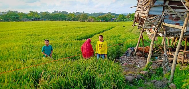 Petani Dukung Nasarong Wakili Aspirasinya
