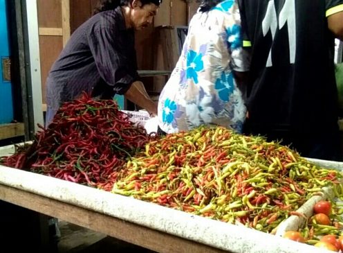Harga cabei di Nunukan Melonjak Hingga Rp. 100 Per Kg