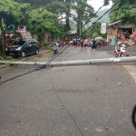 Angin Kencang Tumbangkan 4 Pohon Besar, 1 Mobil Rusak ﻿