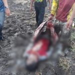 Warga Sidrap Tersambar Petir di Sawah Memakai Baju dan Sarung Merah