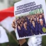 Genoside Muslim Uighur, Islam Solusinya