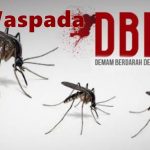Nurfadillah Warga Jalan Sibali Parepare Terjangkit DBD, Dinkes Parepare Diminta Lakukan Fogging