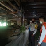 Sambangi Peternak Sapi, Bhabinkamtibmas Bersama Pemerintah Desa Panaikang, Berikan Himbauan Kamtibmas