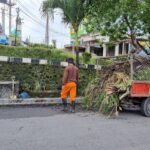 DLH Parepare Bersihkan Taman dan Drainase