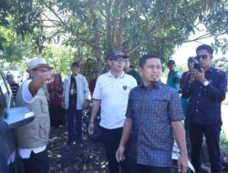 Tasming Hamid Tinjau Lokasi Penanaman Jagung dan Infrastruktur Kota di Lapadde