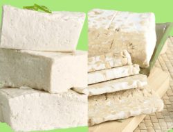 Tempe dan Tahu: Dari Pangan Sehari-hari menjadi Superfood Berbasis Riset