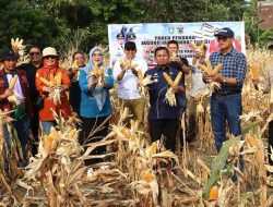 Kerja Sama Unhas dan Pemkot Parepare, Dorong Kesejahteraan Petani
